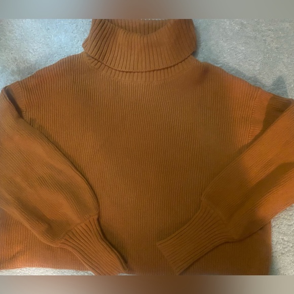 wild fable Sweaters - Women’s Turtleneck cropped Ribbed Sweater in Burnt Orange